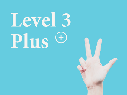 Level 3 Plus